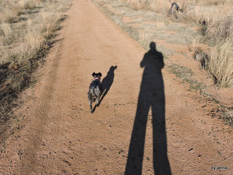 Two shadows, one long, one short on our morning walk.